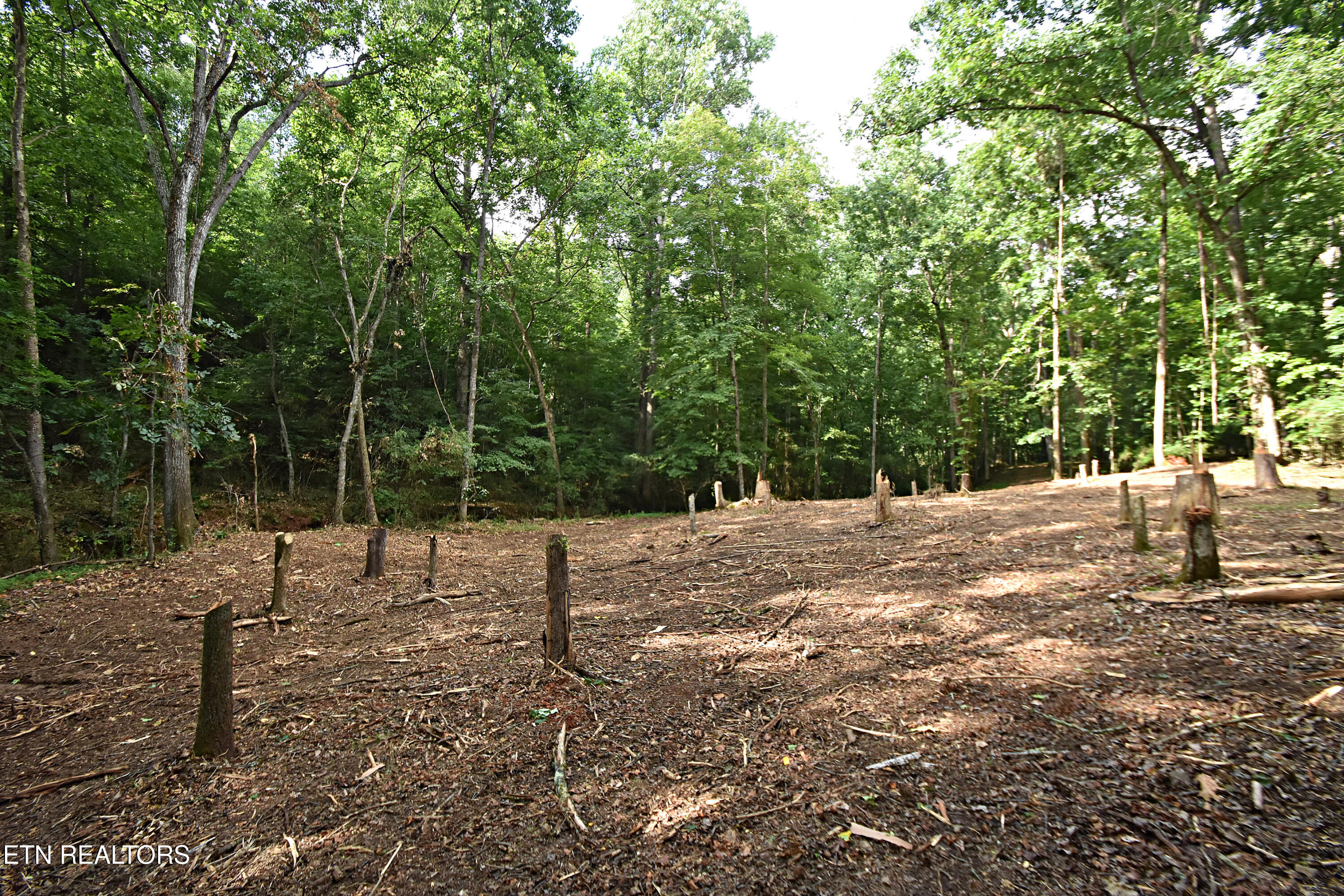 0 Early Road, Unit 2 Knoxville, TN 37922 - Photo 5 of 12 0 Early Rd. Tract 2