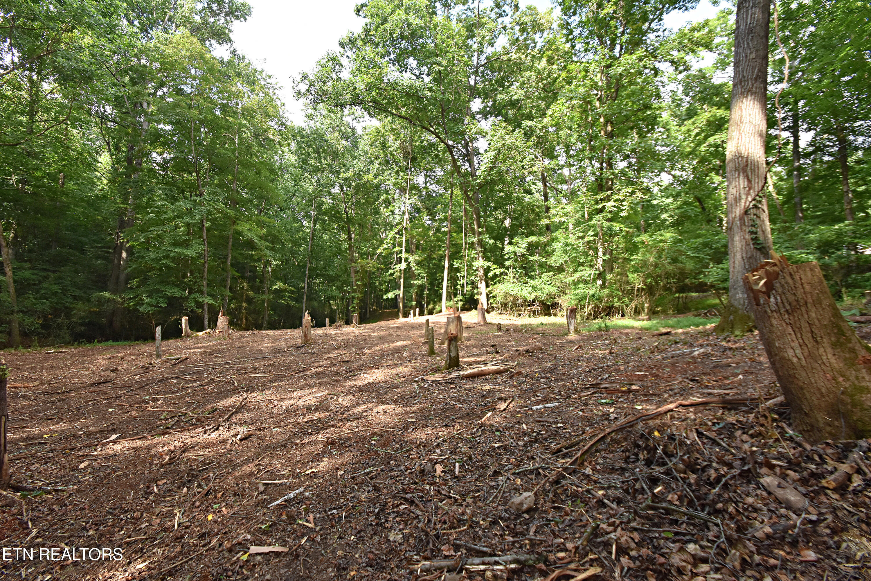 0 Early Road, Unit 2 Knoxville, TN 37922 - Photo 7 of 12 0 Early Rd. Tract 2