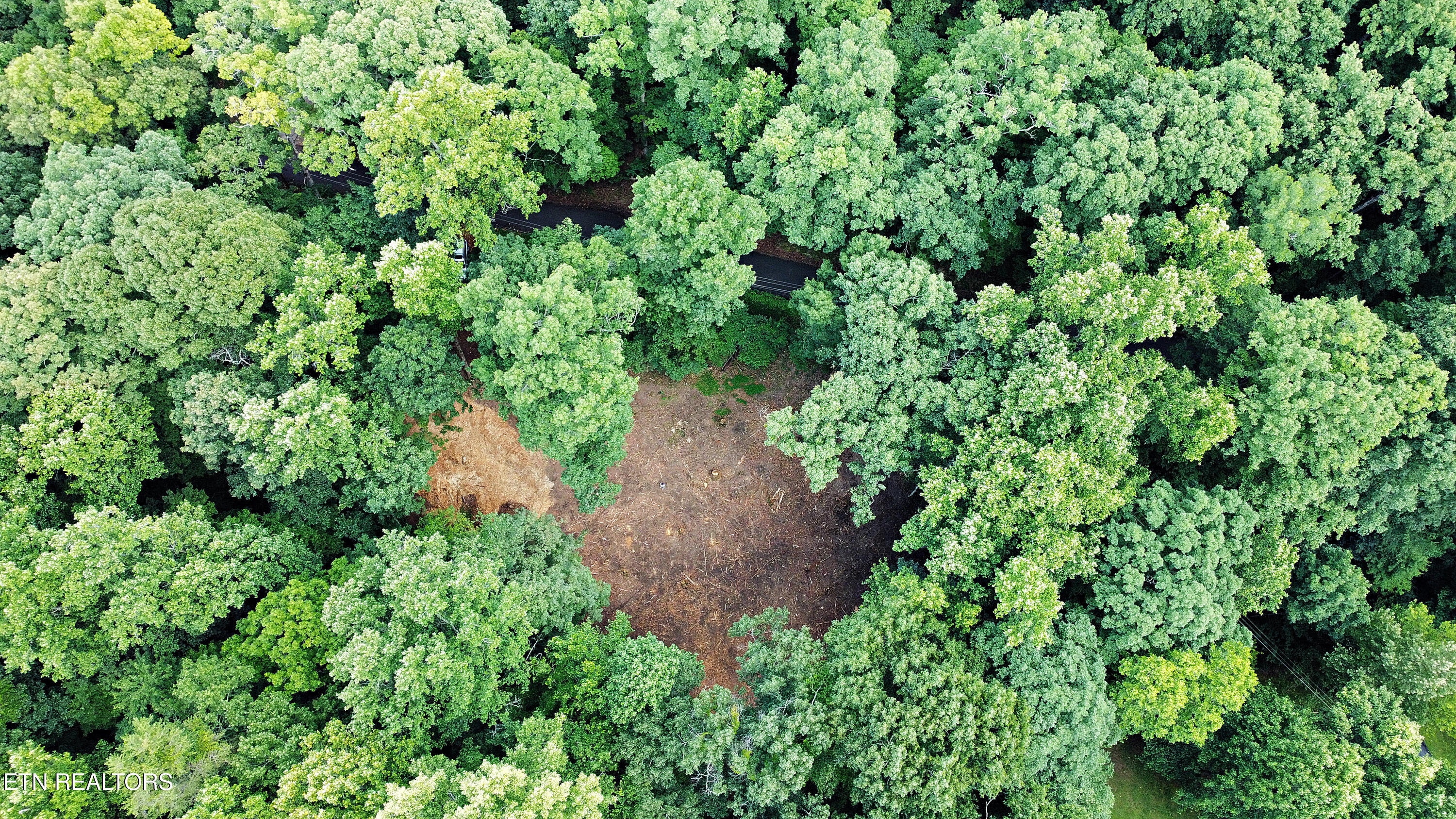 0 Early Road, Unit 2 Knoxville, TN 37922 - Photo 9 of 12 0 Early Rd. Tract 2