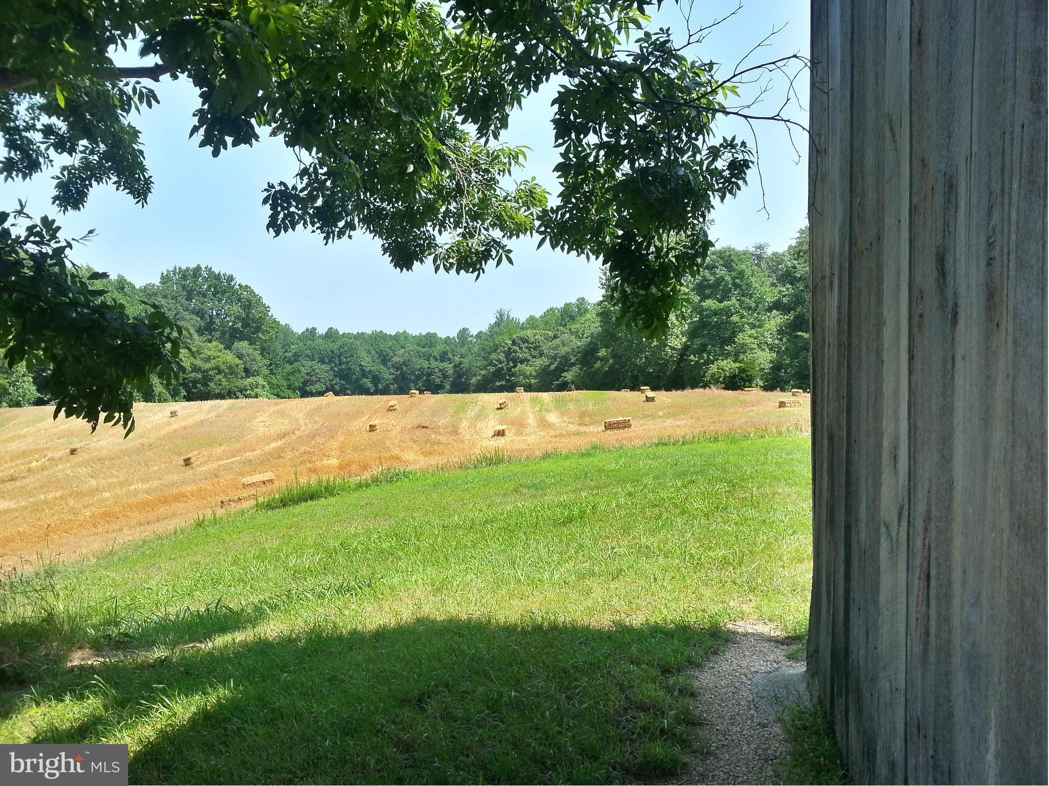 23932403 Garrity Road St. Leonard, MD 20685 - Photo 1 of 10 View