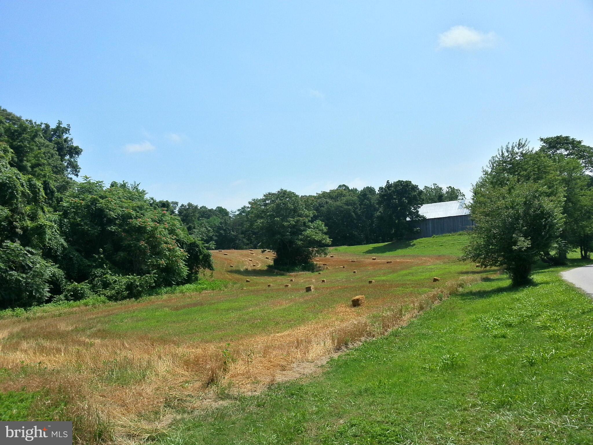 23932403 Garrity Road St. Leonard, MD 20685 - Photo 6 of 10 View