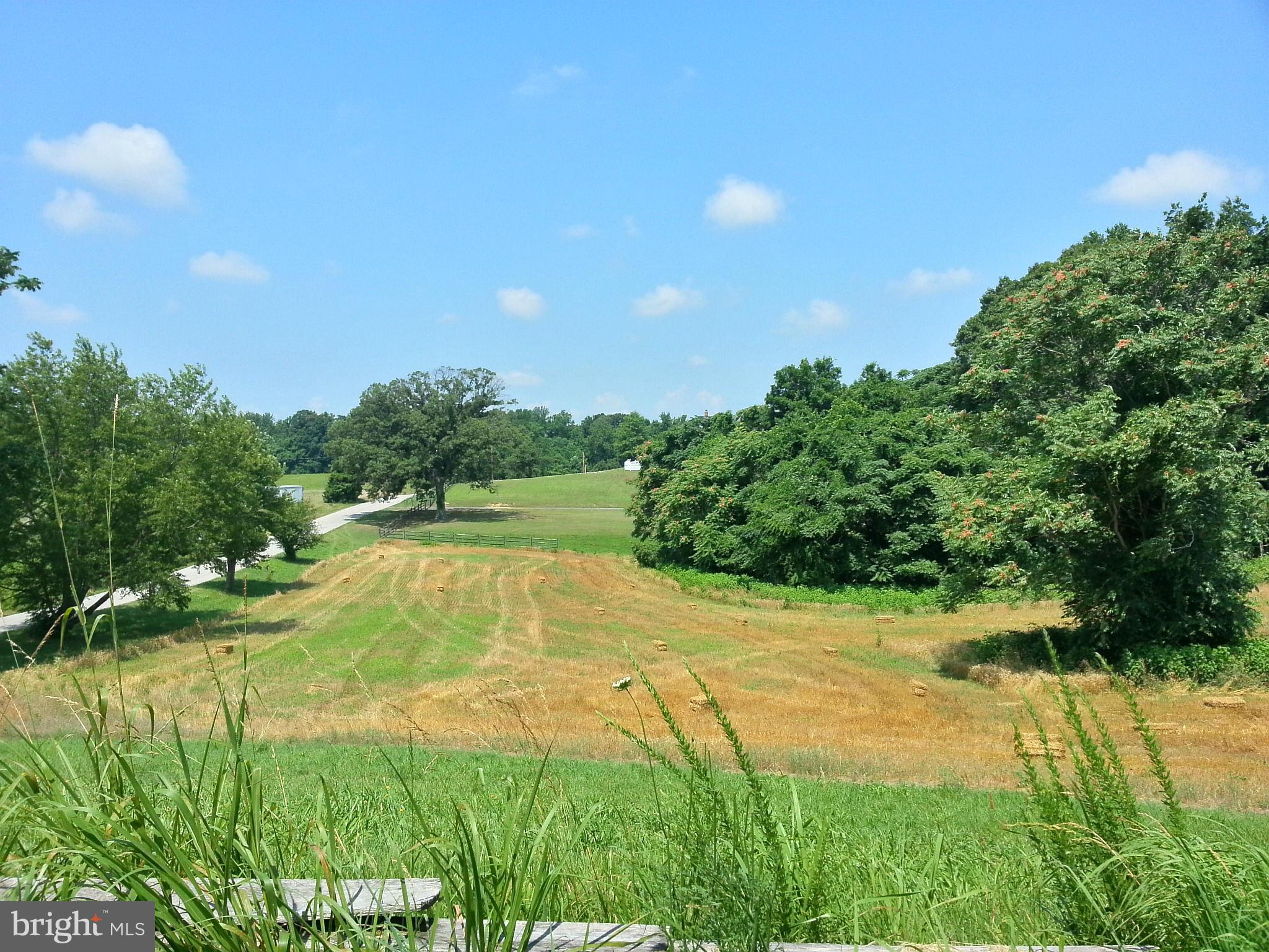 23932403 Garrity Road St. Leonard, MD 20685 - Photo 8 of 10 View