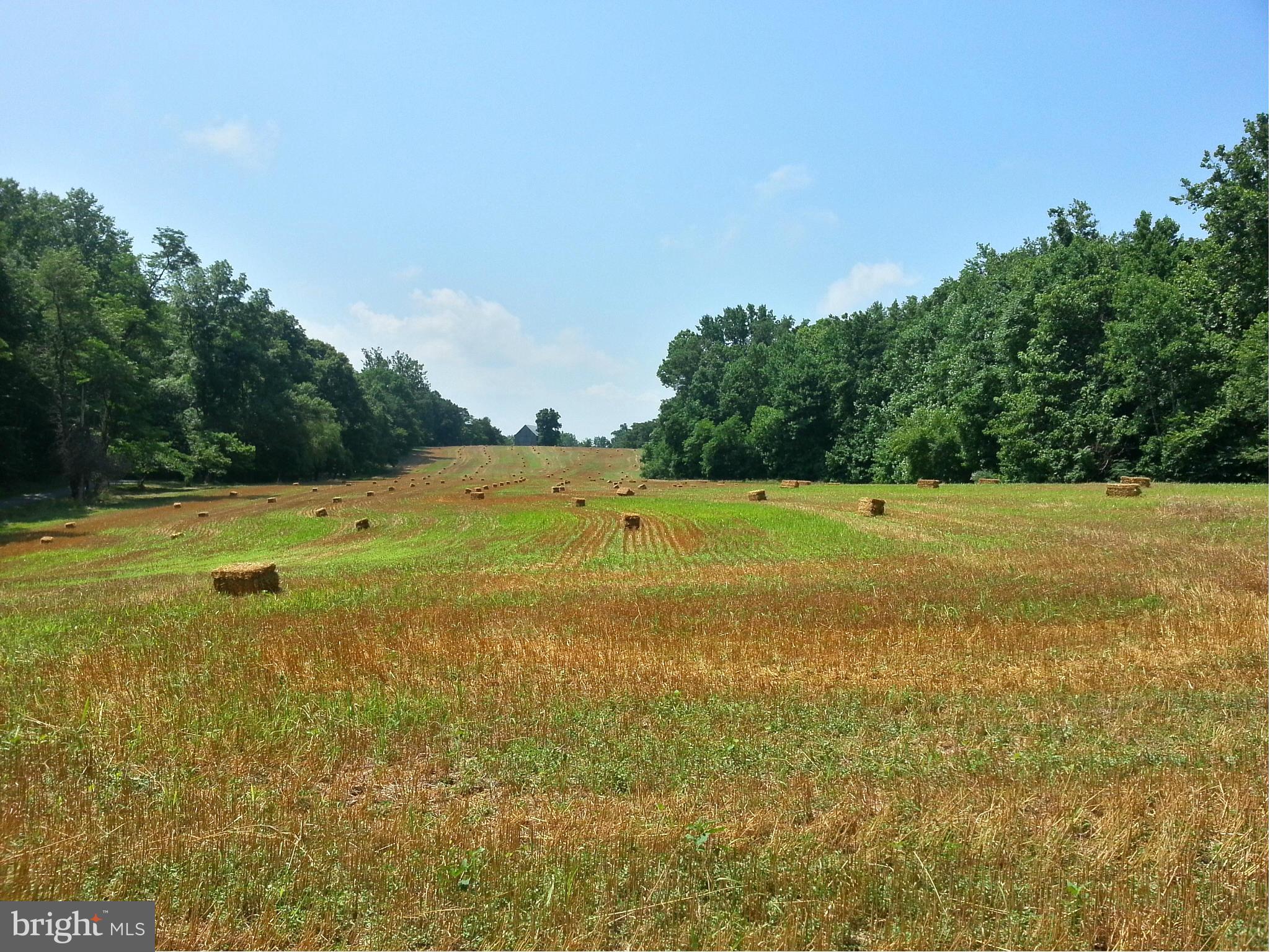 23932403 Garrity Road St. Leonard, MD 20685 - Photo 9 of 10 View