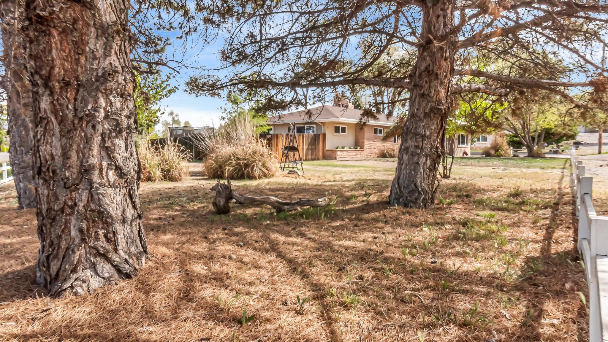 522 Blevins Road Grand Junction, CO 81507 - Photo 20 of 29