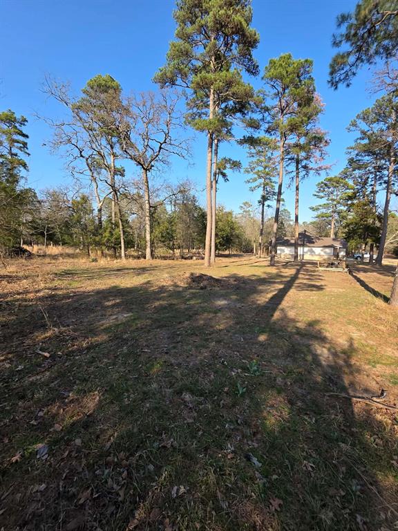 Lot 36-37 King Charles Road Scroggins, TX 75480 - Photo 11 of 14 a view of a playground with a tree