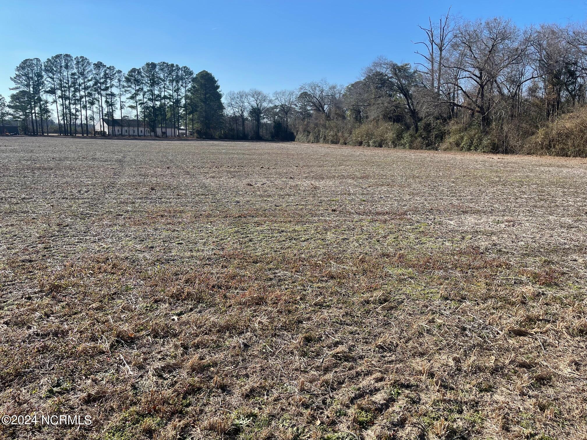 0 Duplin County Road Pink Hill, NC 28572 - Photo 3 of 14 256 Duplin County Road