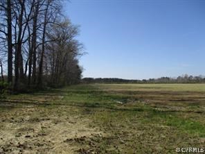 Lot 1 Manning Road Suffolk, VA 23434 - Photo 3 of 5 Gallery Image 3