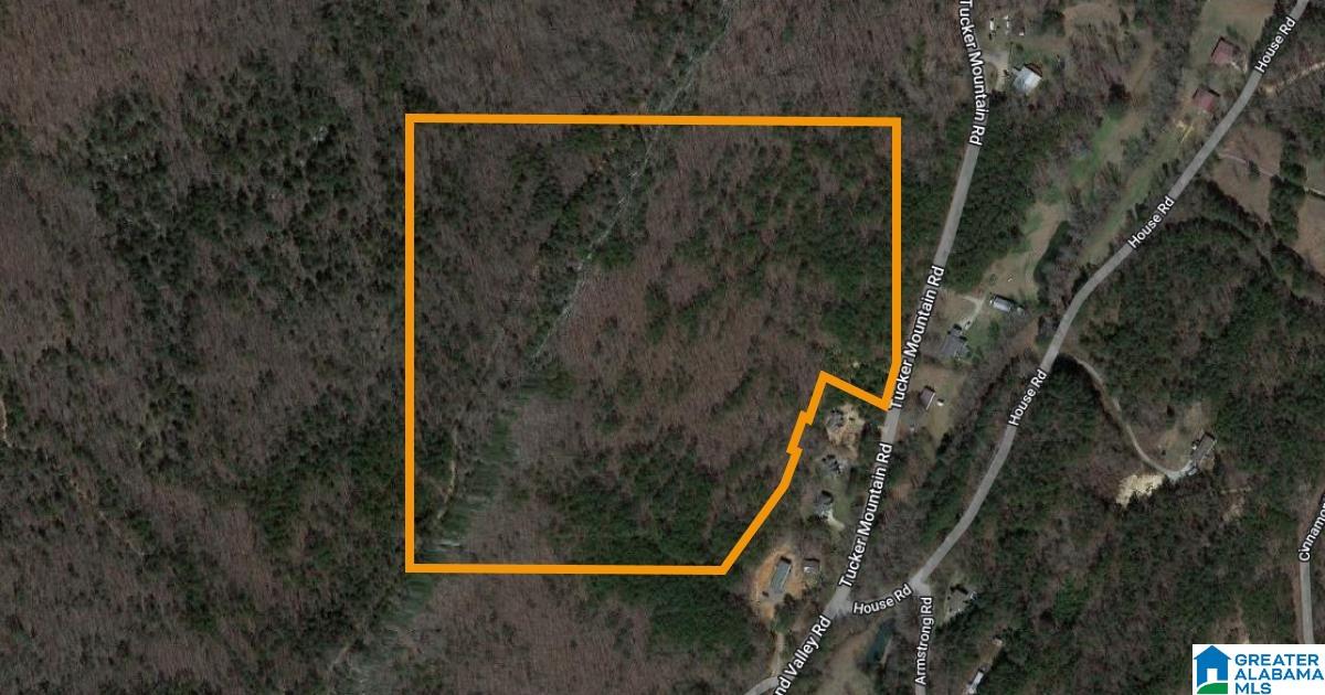 0 Tucker Mountain Road Remlap, AL 35133 - Photo 1 of 1