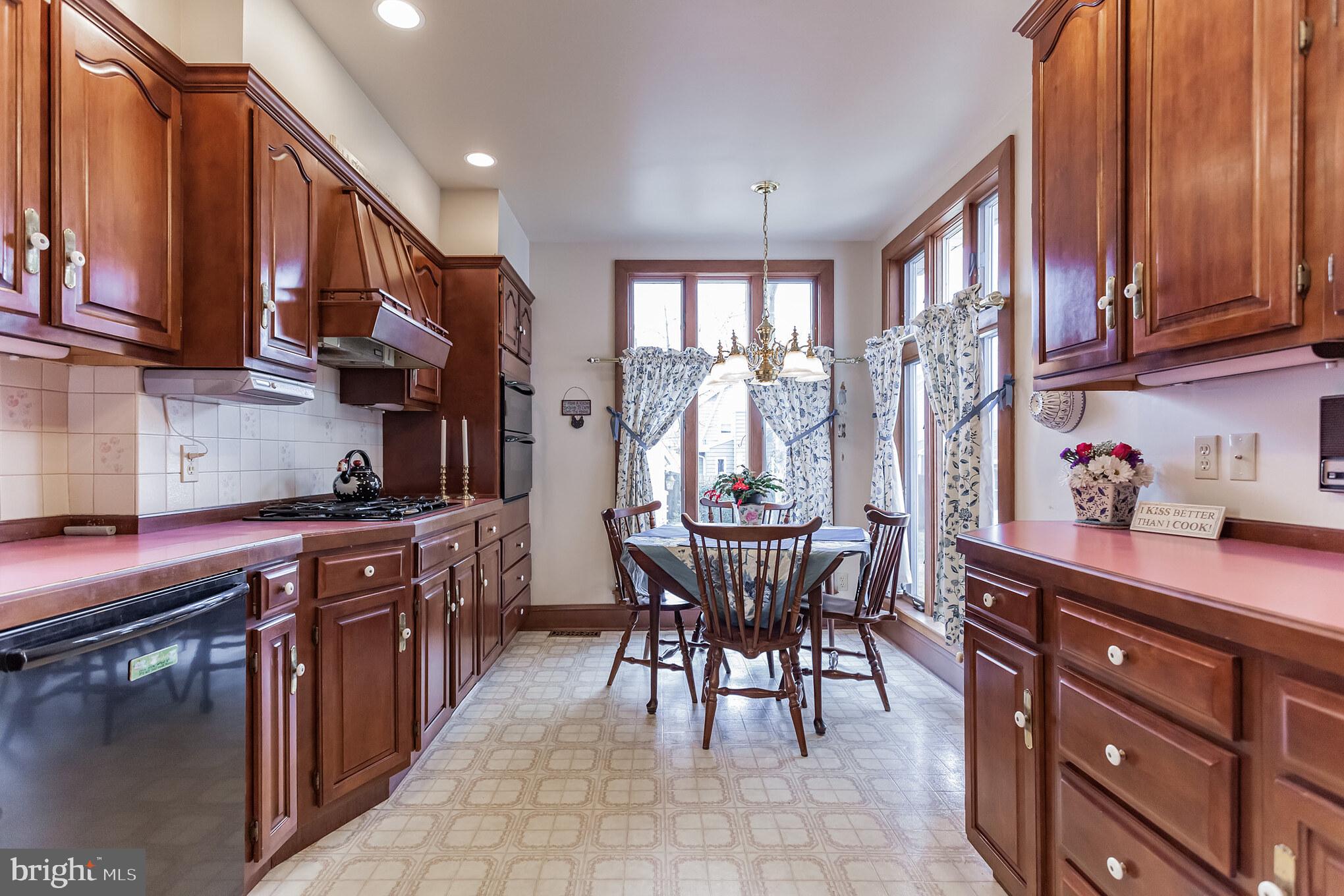 316 Chestnut Street Haddonfield, NJ 08033 - Photo 11 of 30 a kitchen with stainless steel appliances granite countertop a stove a sink dishwasher and cabinets