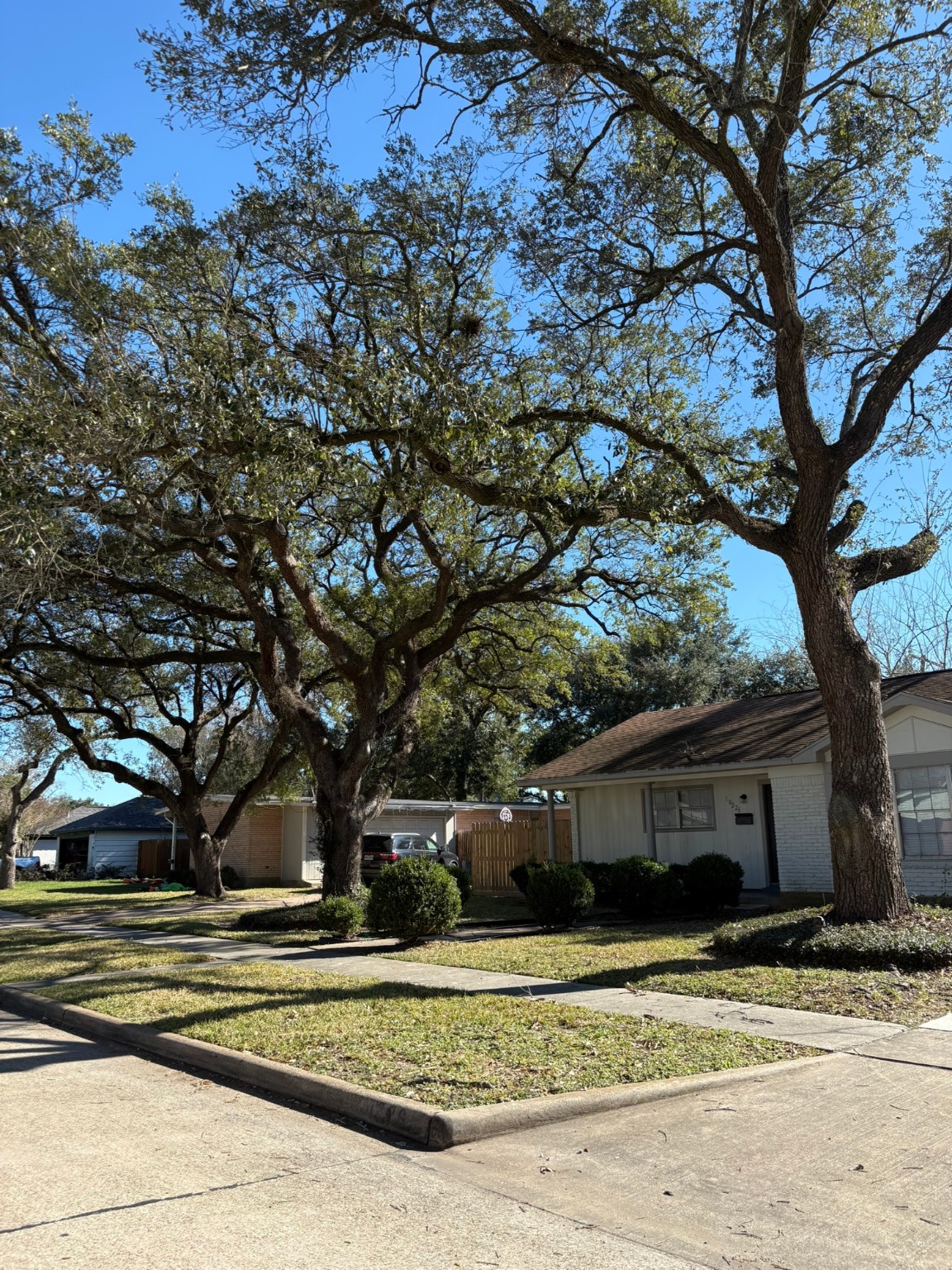 10226 Old Orchard Road La Porte, TX 77571 - Photo 2 of 6 a front view of a house with a yard