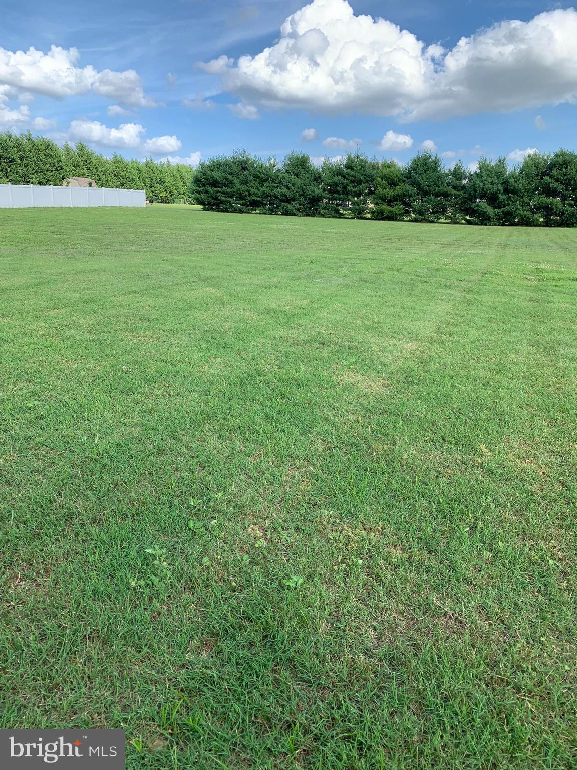 326 Rainey Road Swedesboro, NJ 08085 - Photo 39 of 39 Backyard