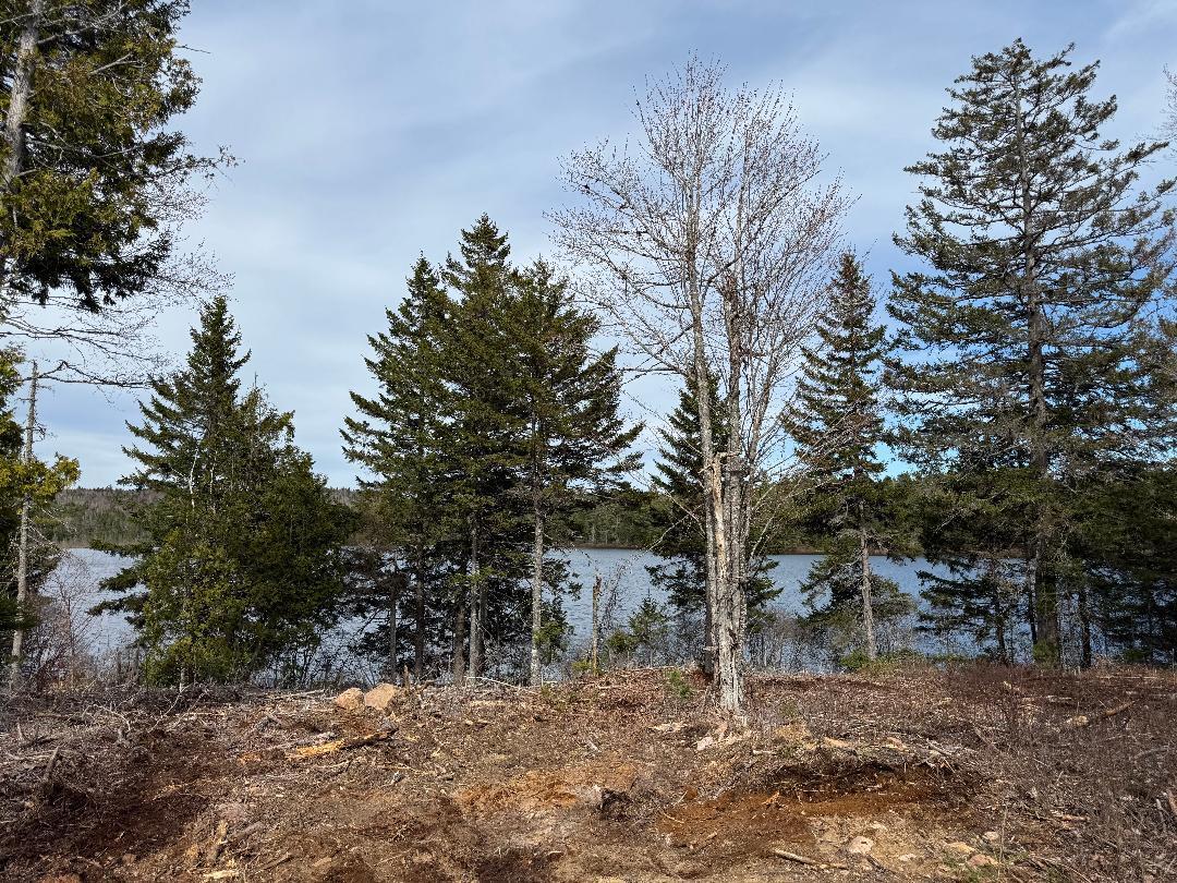 Lot 7-bh Lot 7-bh Steam Mill Road Robbinston, ME 04671 - Photo 1 of 15 thumbnail (4)