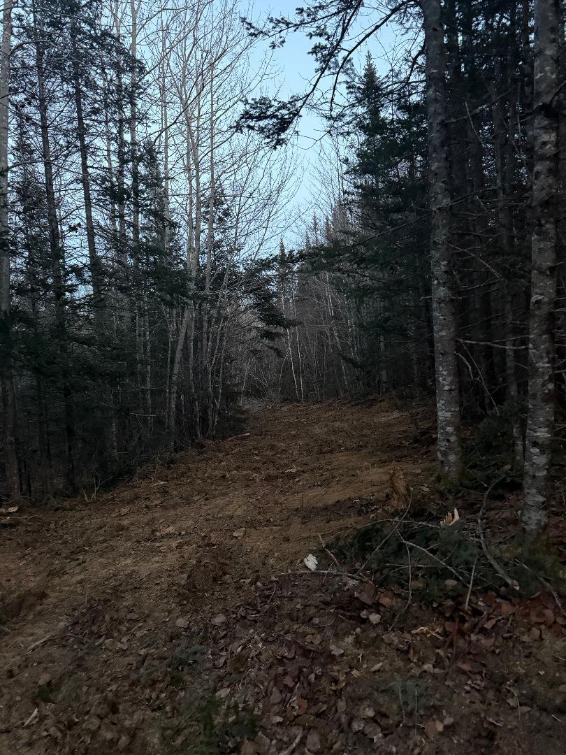Lot 7-bh Lot 7-bh Steam Mill Road Robbinston, ME 04671 - Photo 14 of 15 thumbnail (7)
