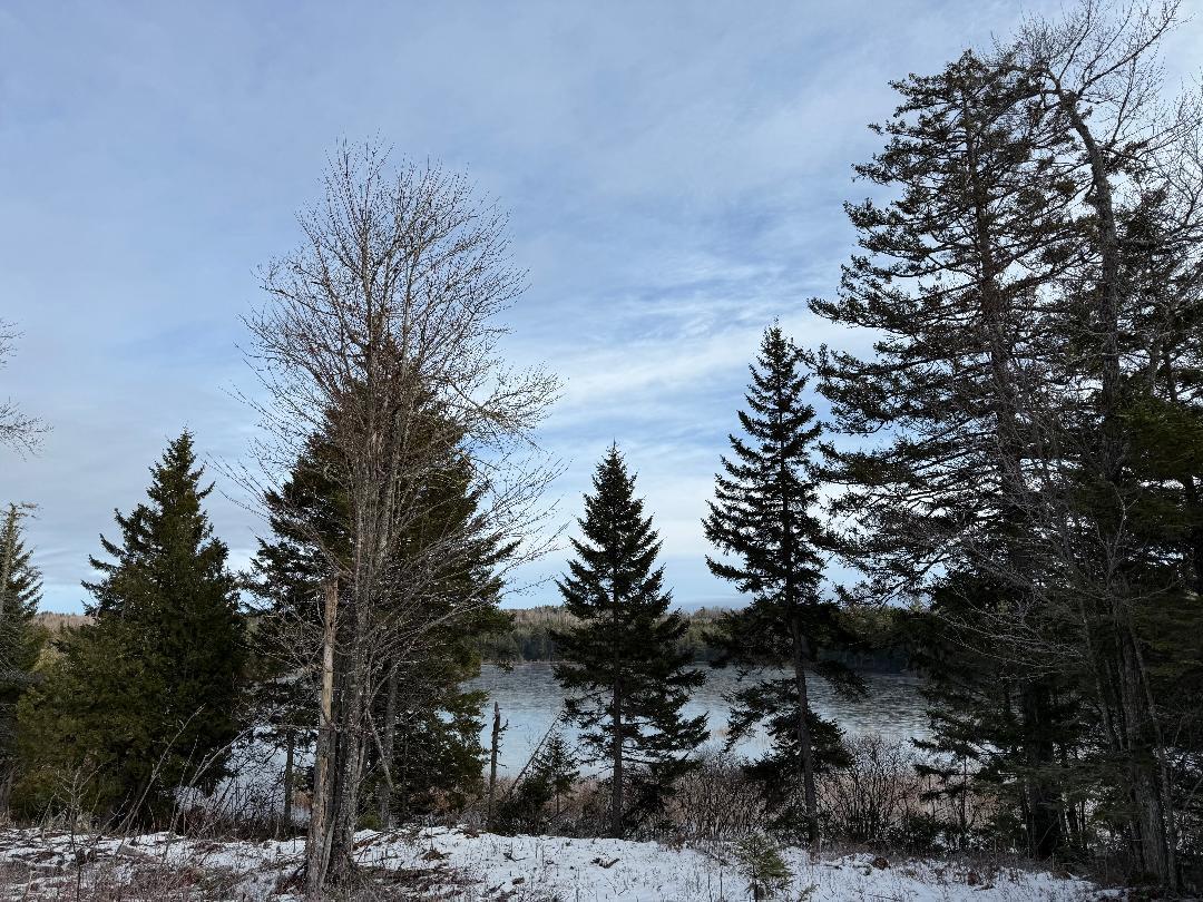 Lot 7-bh Lot 7-bh Steam Mill Road Robbinston, ME 04671 - Photo 2 of 10 thumbnail (2)