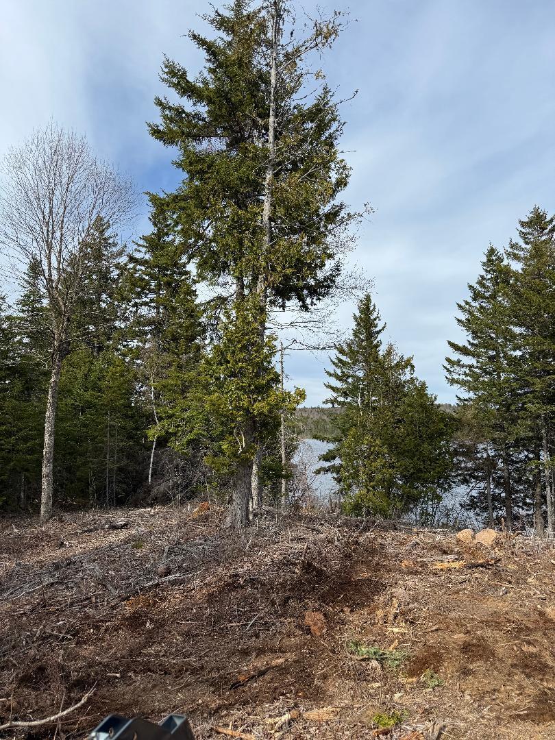 Lot 7-bh Lot 7-bh Steam Mill Road Robbinston, ME 04671 - Photo 2 of 15 thumbnail (3)