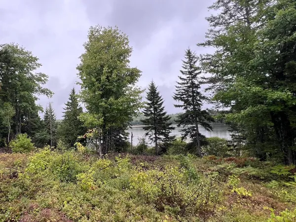 $59,900 | Lot 7-bh Lot 7-bh Steam Mill Road, Robbinston, ME 04671