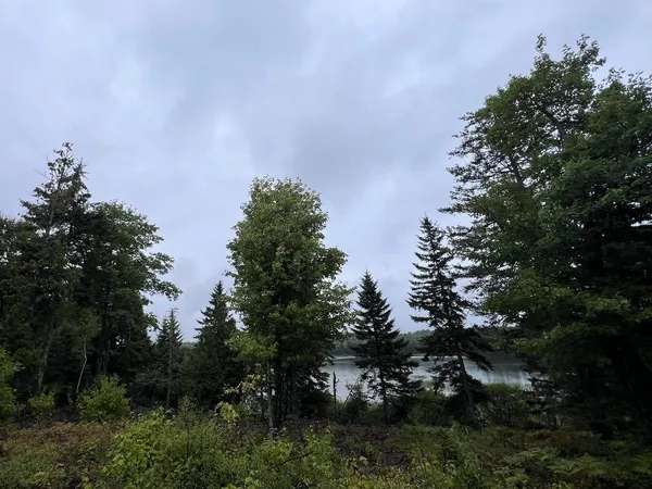 $59,900 | Lot 7-bh Lot 7-bh Steam Mill Road, Robbinston, ME 04671