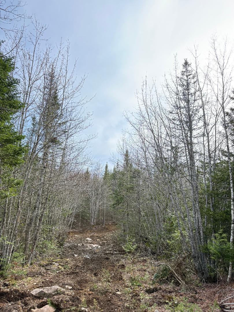 Lot 7-bh Lot 7-bh Steam Mill Road Robbinston, ME 04671 - Photo 5 of 15 thumbnail