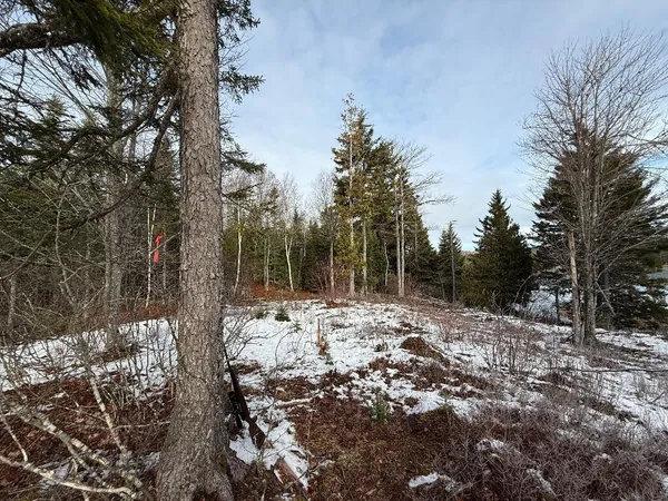 $59,900 | Lot 7-bh Lot 7-bh Steam Mill Road, Robbinston, ME 04671