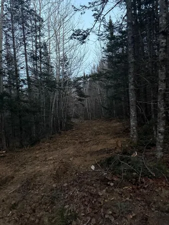 $59,900 | Lot 7-bh Lot 7-bh Steam Mill Road, Robbinston, ME 04671