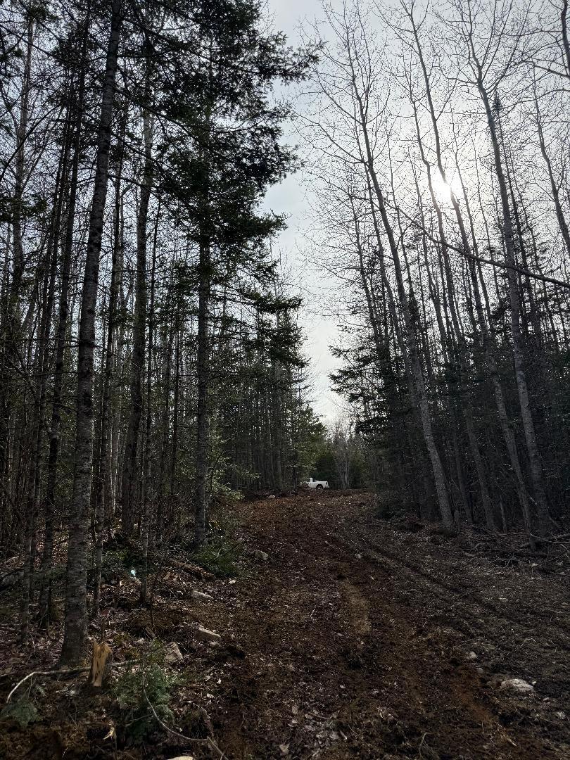 Lot 7-bh Lot 7-bh Steam Mill Road Robbinston, ME 04671 - Photo 8 of 15 thumbnail (1)