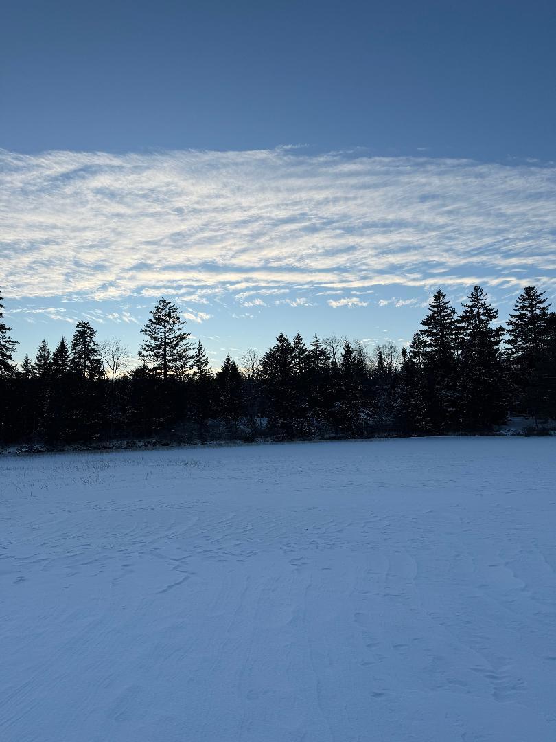 Lot 7-bh Lot 7-bh Steam Mill Road Robbinston, ME 04671 - Photo 8 of 10 thumbnail (8)