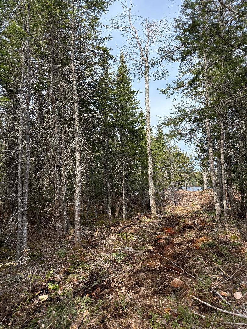 Lot 7-bh Lot 7-bh Steam Mill Road Robbinston, ME 04671 - Photo 9 of 15 thumbnail (2)
