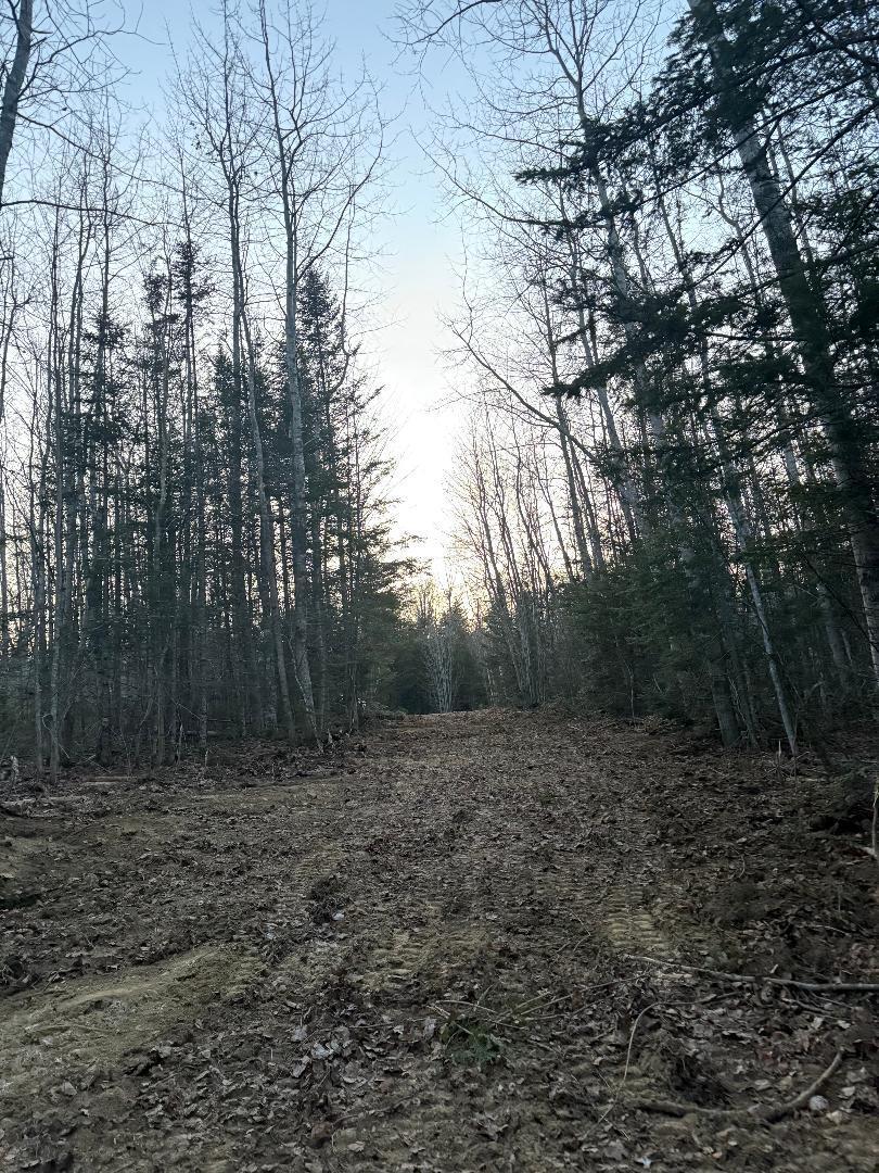 Lot 7-bh Lot 7-bh Steam Mill Road Robbinston, ME 04671 - Photo 9 of 10 thumbnail (9)