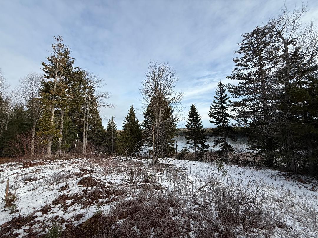 Lot 7-bh Lot 7-bh Steam Mill Road Robbinston, ME 04671 - Photo 10 of 15 thumbnail (1)