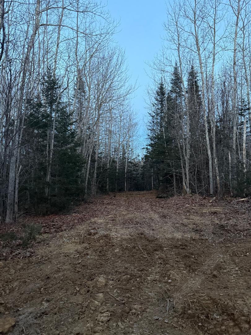 Lot 7-bh Lot 7-bh Steam Mill Road Robbinston, ME 04671 - Photo 10 of 10 thumbnail (10)