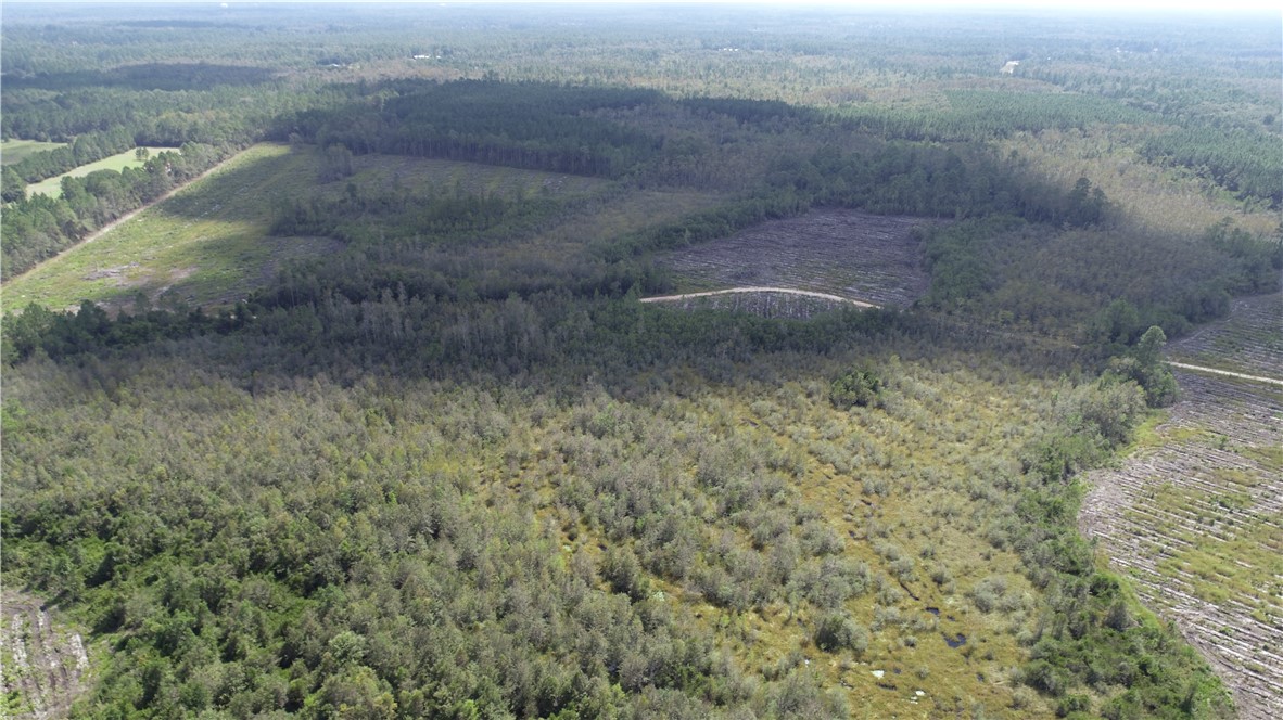 0 County Line Road Hinesville, GA 31313 - Photo 12 of 76