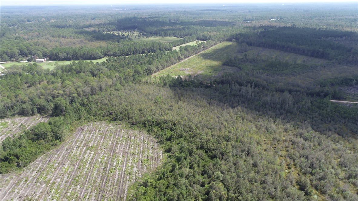 0 County Line Road Hinesville, GA 31313 - Photo 13 of 76