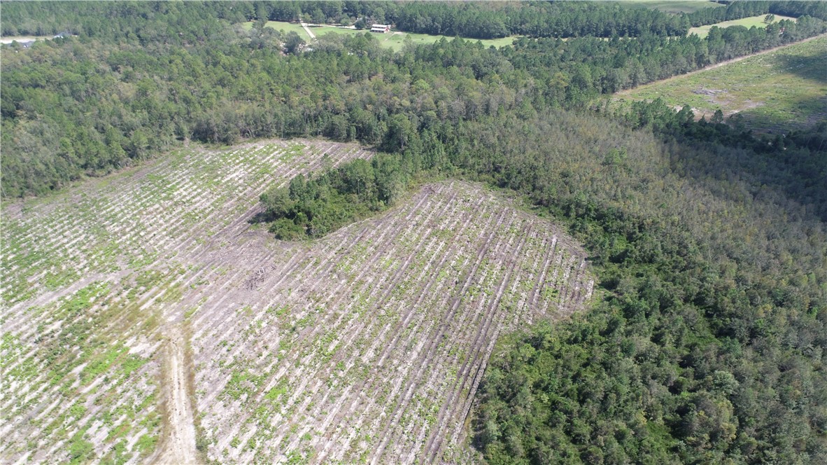 0 County Line Road Hinesville, GA 31313 - Photo 14 of 76