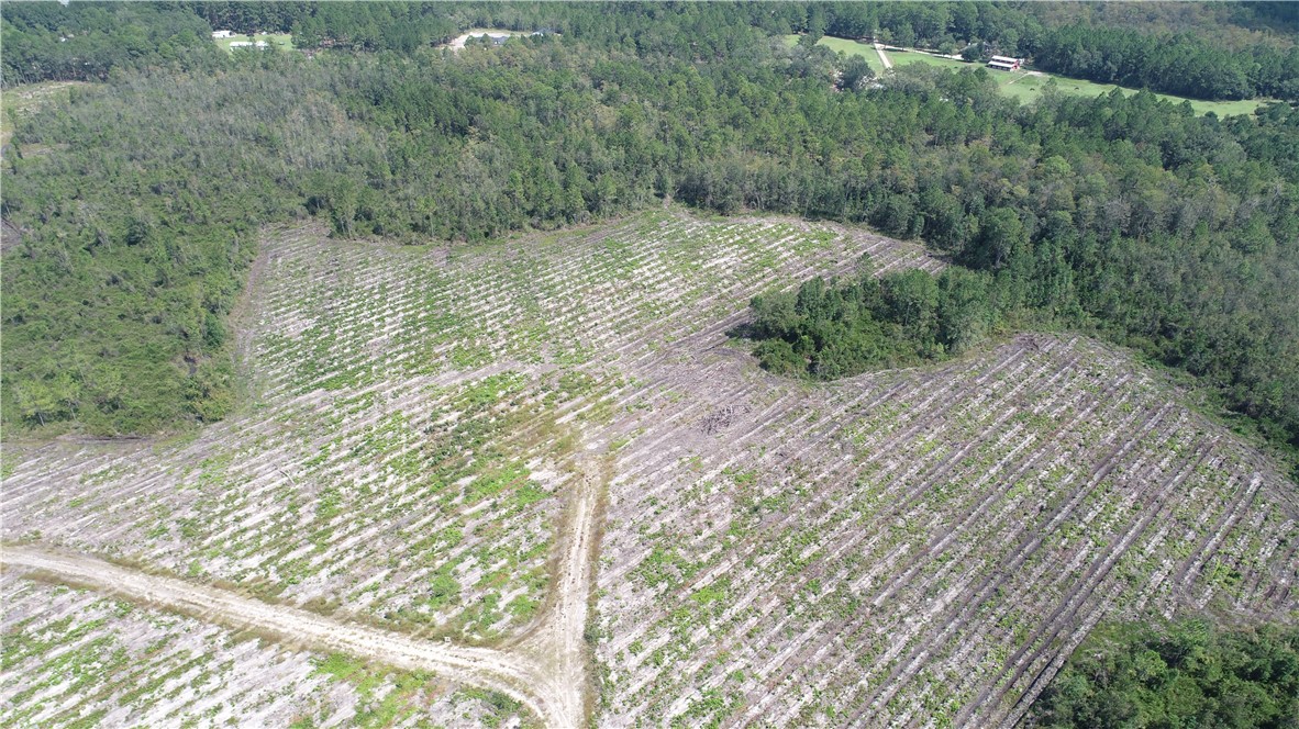 0 County Line Road Hinesville, GA 31313 - Photo 15 of 76