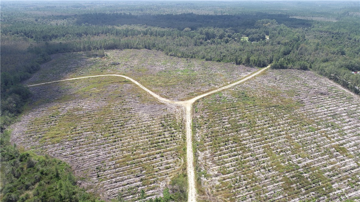 0 County Line Road Hinesville, GA 31313 - Photo 17 of 76