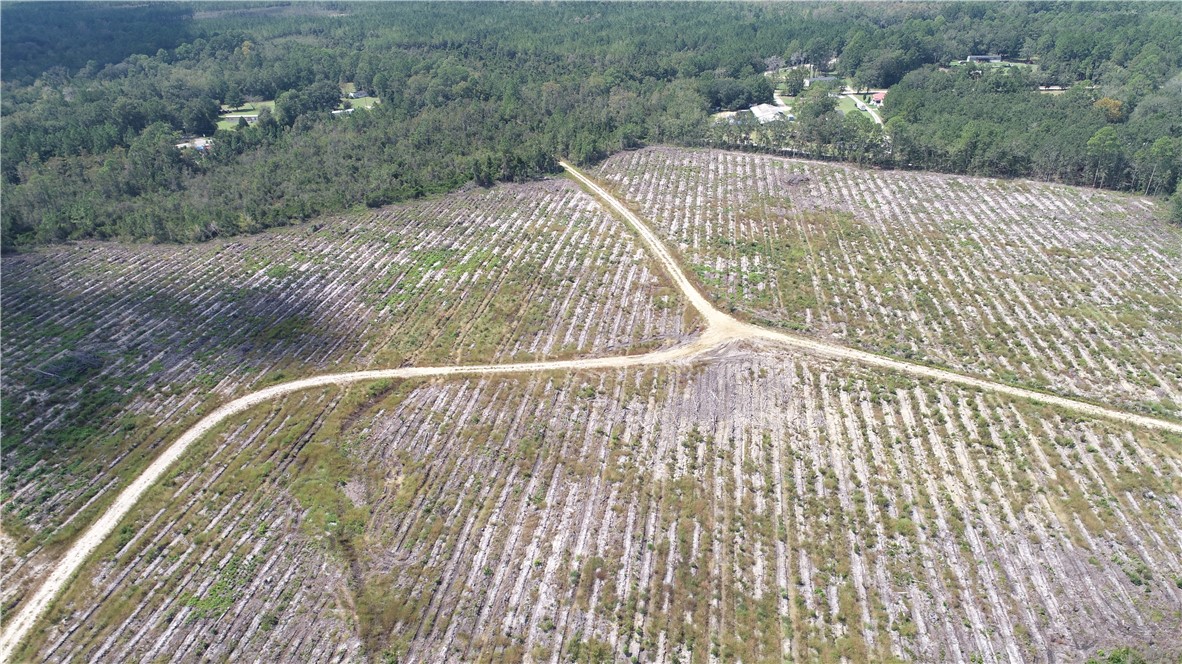 0 County Line Road Hinesville, GA 31313 - Photo 22 of 76