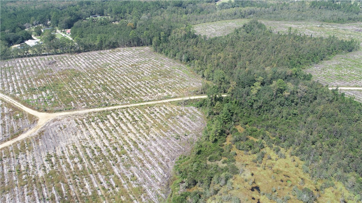 0 County Line Road Hinesville, GA 31313 - Photo 23 of 76