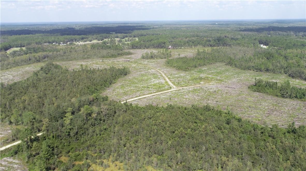 0 County Line Road Hinesville, GA 31313 - Photo 24 of 76