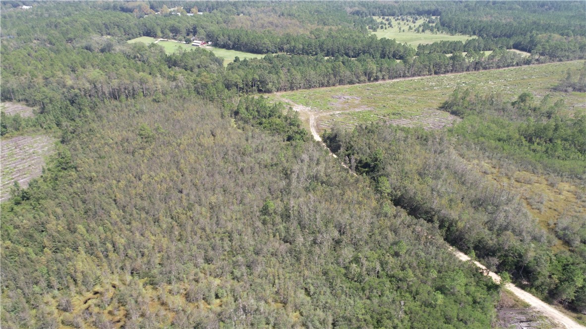 0 County Line Road Hinesville, GA 31313 - Photo 26 of 76