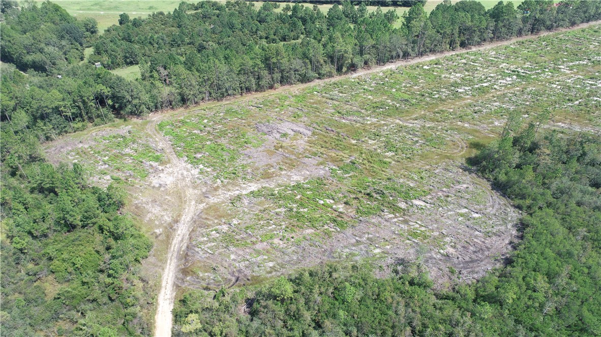 0 County Line Road Hinesville, GA 31313 - Photo 28 of 76