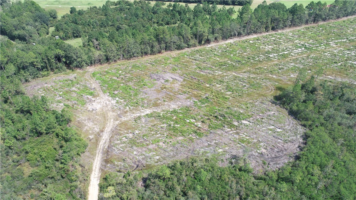 0 County Line Road Hinesville, GA 31313 - Photo 29 of 76