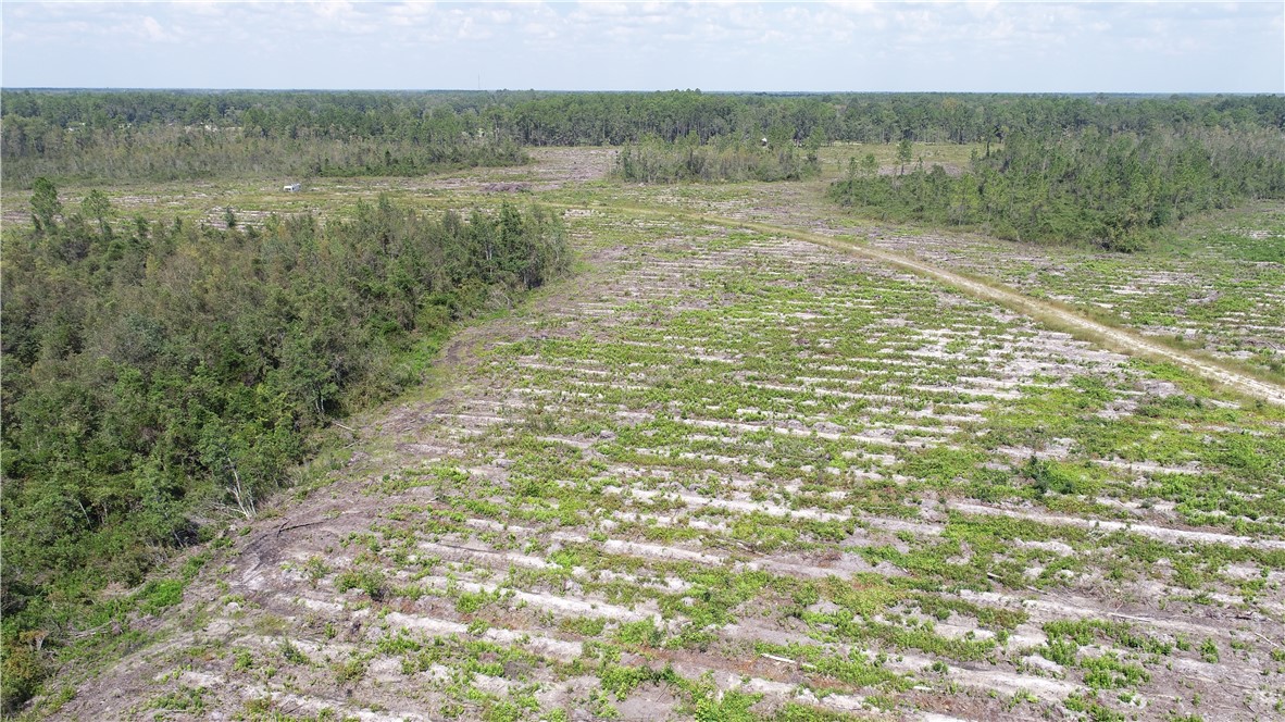 0 County Line Road Hinesville, GA 31313 - Photo 3 of 76