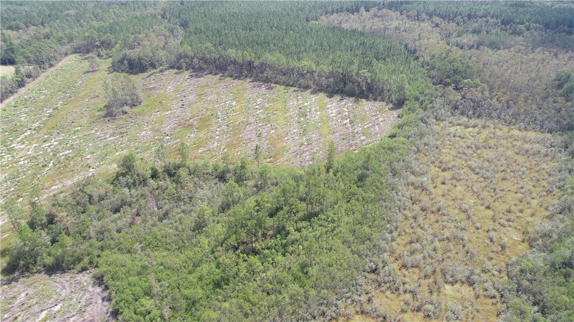 0 County Line Road Hinesville, GA 31313 - Photo 31 of 76