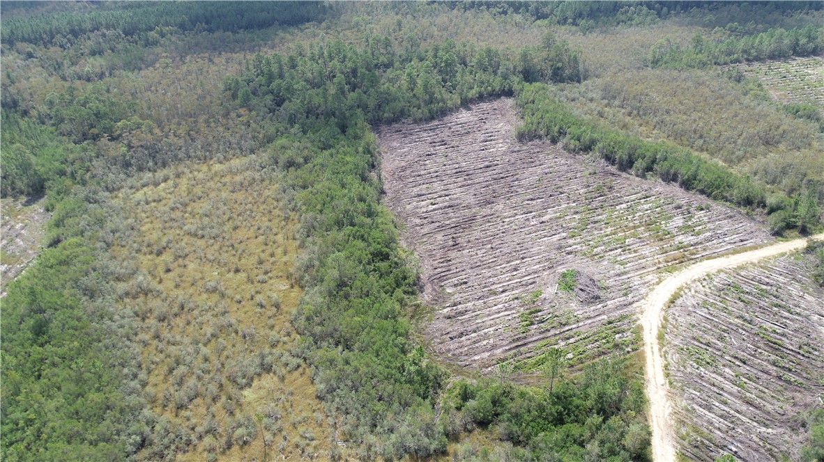 0 County Line Road Hinesville, GA 31313 - Photo 32 of 76