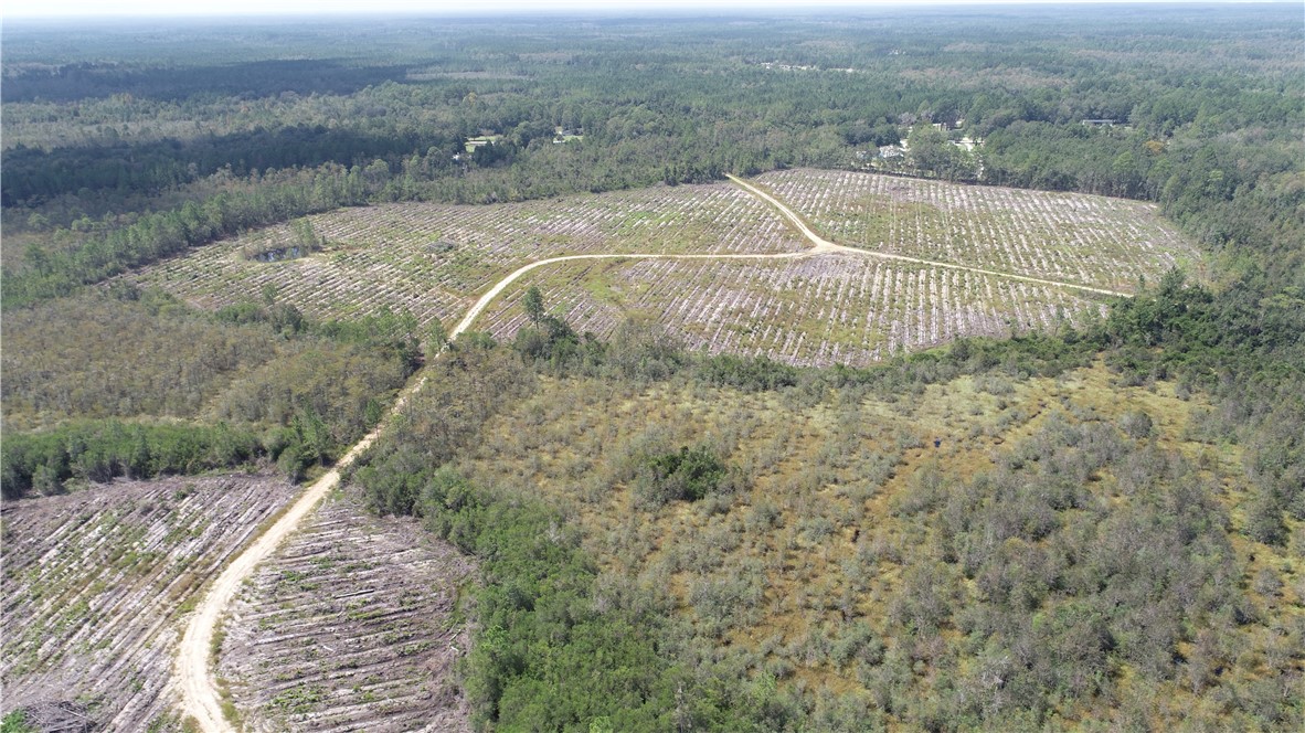 0 County Line Road Hinesville, GA 31313 - Photo 33 of 76