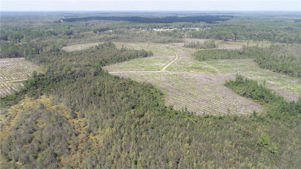 0 County Line Road Hinesville, GA 31313 - Photo 35 of 76