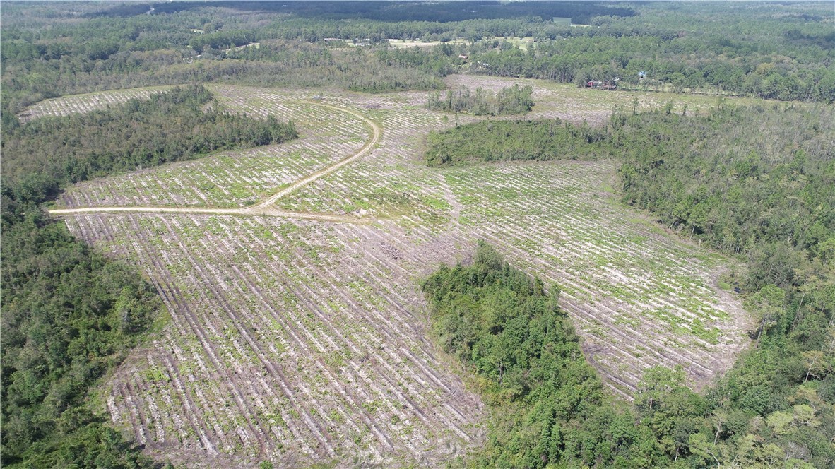 0 County Line Road Hinesville, GA 31313 - Photo 38 of 76