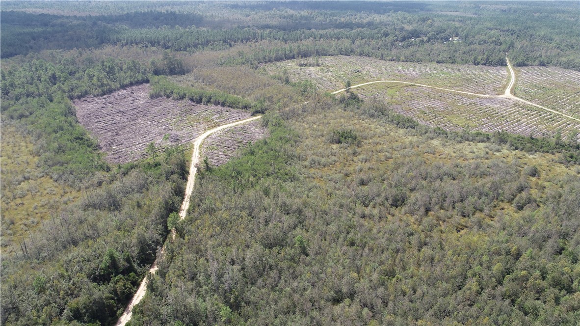 0 County Line Road Hinesville, GA 31313 - Photo 40 of 76