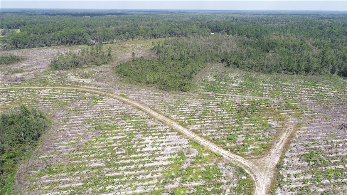 0 County Line Road Hinesville, GA 31313 - Photo 4 of 76