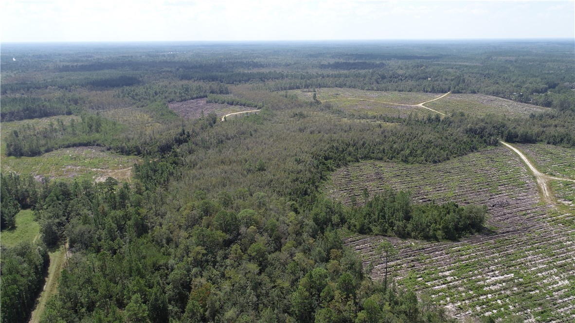 0 County Line Road Hinesville, GA 31313 - Photo 44 of 76